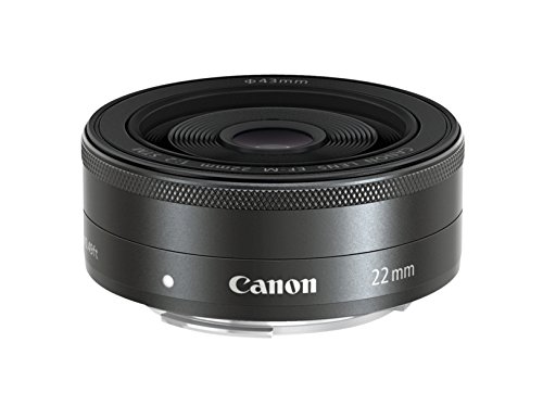 Canon EF-M 22 mm f/2 STM - Objetivo para Canon (Distancia Focal Fija 22 mm, Apertura f/2-22) Negro