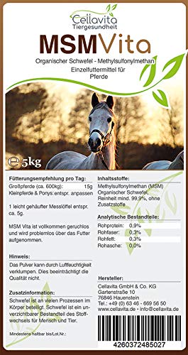 Cellavita MSM – Azufre orgánico – 5 kg para caballos | Calidad farmacéutica puro 99,9 % – Cubo de 5 kg