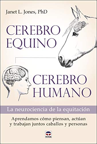 Cerebro equino, cerebro humano: La neurociencia de la equitación