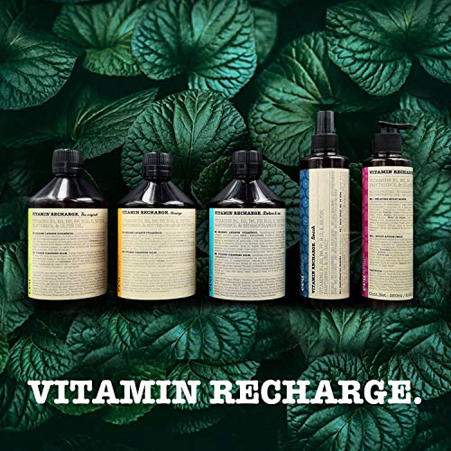 Champú Vitamin Recharge Bálsamo Lavante - Sin Sulfatos - Sin parabenos - Sin Siliconas