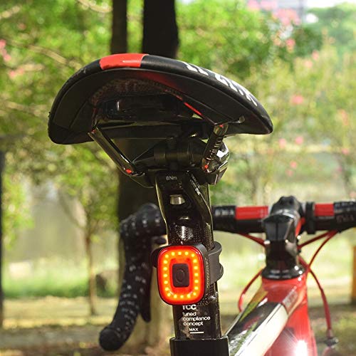 ChenCheng - Luces traseras, Luces traseras de Freno de Bicicleta de inducción Inteligentes a Caballo de Carga USB de Seguridad Luces de Advertencia técnica de Bicicletas,Luz Trasera Bicicleta