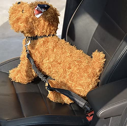 Cinturón de Seguridad para Perro - Cinturón elástico para Mascotas - Arnés Fabricado en Nylon con Parte elástica - 100% Seguro para tu Mascota (Rojo)
