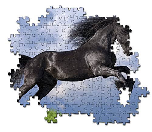 Clementoni Puzzle 500 Piezas Caballo Negro, Color (35071)
