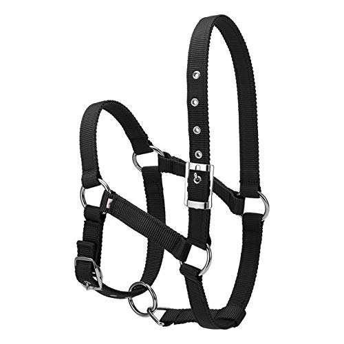 Collar 1pc 6mm Hípica Ecuestre Espesado Ajustable Cabeza de Caballo Cabestro ronzal Seguridad Brida Horse Riding Equipment (Color : Black M)