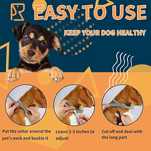 Collar Antiparasitario para Perro, Protección de 8 Meses Collar Antiparasitario de Perro Impermeable Ajustable Collar de Pulgas para Perros Mejorado con Aceites Esenciales Naturales (1pcs)