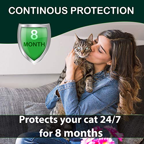 Collar antipulgas y garrapatas para Gatos, resistente al aqua, protección activa de hasta 8 Meses, 33 centimetros, para qualquier tamaño de gato