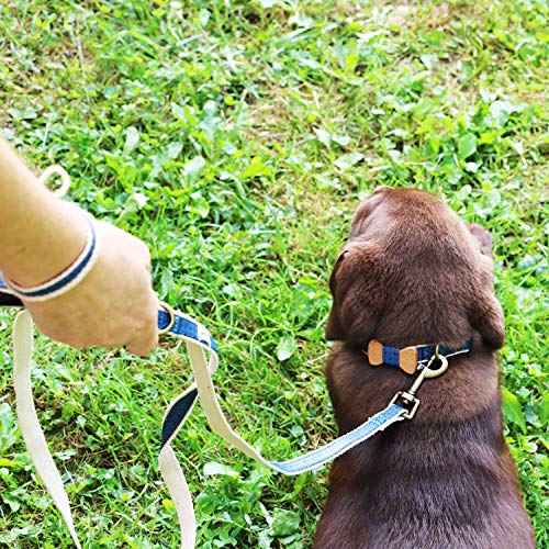 Collar con pajarita para perros y brazalete de amistad marca Pettsie