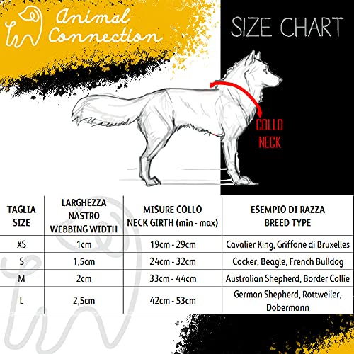 Collar de perro ajustable acolchado con suave neopreno patrón de colores | para perros pequeños y medianos | Collares para perros, gatos, cachorros | (XS - Aztec )