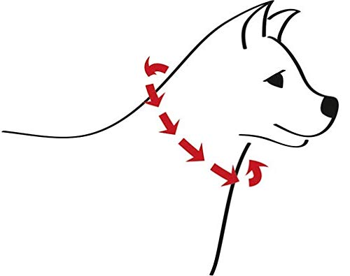Collar de Perro Argos, Oro Rosa, Ajustable, Perros Grandes y Perros pequeños, Nailon Tweed, Perro Regalo (M/L 40-63 cm circunferncia del Cuello)