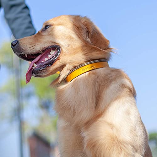 Collar de Perro de martingala Reflectante Hyhug Pets con Nailon de Tejido Jacquard Agradable para Perros de Uso Diario. (Medio M, Tapenade)