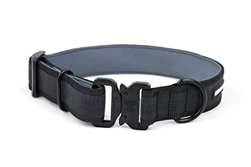 Collar para Perro con Cierre metálico, Acolchado, Resistente y Ajustable - 2 Tallas Elegir - Talla L / Color Negro