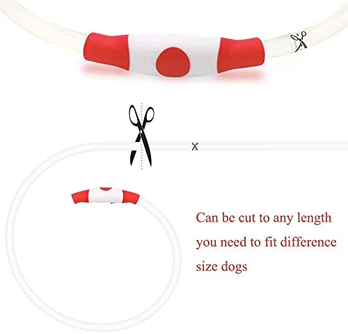 Collar para perro iluminado que brilla en la oscuridad, rojo, de seguridad con USB recargable, collar superbrillante, intermitente, 4 colores para perros pequeños, medianos y grandes
