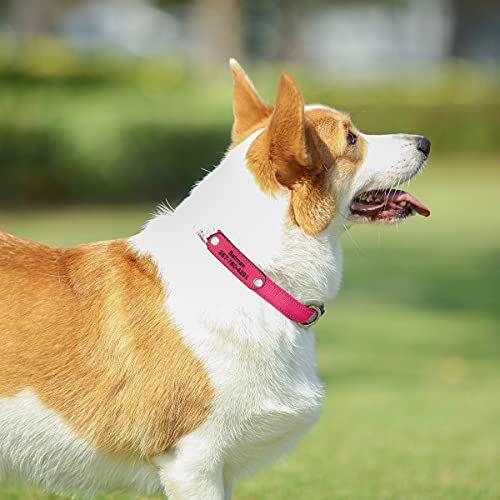 Collares de Perro con Grabado Reflectante, Collar de Perro de Nailon Personalizado Personalizado, 5 Colores, Ajustable para Cachorros, Perros pequeños, medianos y Grandes