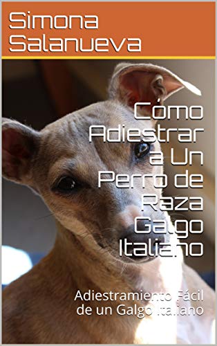 Cómo Adiestrar a Un Perro de Raza Galgo Italiano : Adiestramiento Fácil de un Galgo Italiano