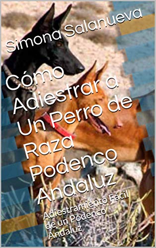 Cómo Adiestrar a Un Perro de Raza Podenco Andaluz : Adiestramiento Fácil de un Podenco Andaluz