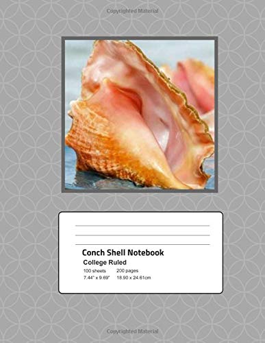 Conch Shell Notebook College Ruled