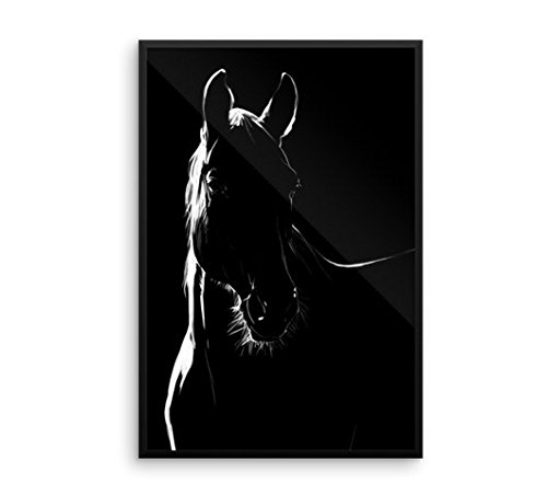 Crin De Caballo - Ocho madeja pelo de caballo para violín arco u otro uso - Calidad AAA - Procedencia Mongolia - 80 gramos - 81-82 cm - Blanco