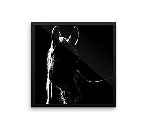 Crin De Caballo - Quatro madeja pelo de caballo para violín arco u otro uso - Calidad AAA - Procedencia Mongolia - 40 gramos - 81-82 cm - Negro