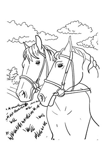 Cuaderno de equitación para caballos 200 páginas cuadradas