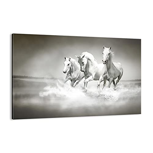 Cuadro sobre lienzo - Impresión de Imagen - Granja caballos galope libertad - 120x80cm - Imagen Impresión - Cuadros Decoracion - Impresión en lienzo - Cuadros Modernos - AA120x80-2389