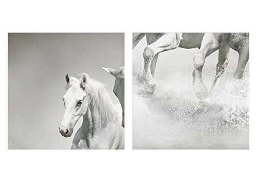 Cuadro sobre lienzo - Impresión de Imagen - Granja caballos galope libertad - 120x80cm - Imagen Impresión - Cuadros Decoracion - Impresión en lienzo - Cuadros Modernos - AA120x80-2389