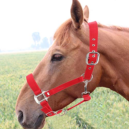 DAUERHAFT 6 mm más Grueso hHorse Bridle Rack Accesorios portátiles para Montar