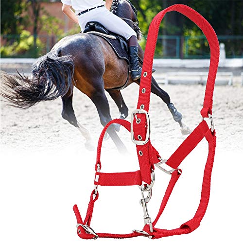 DAUERHAFT 6 mm más Grueso hHorse Bridle Rack Accesorios portátiles para Montar