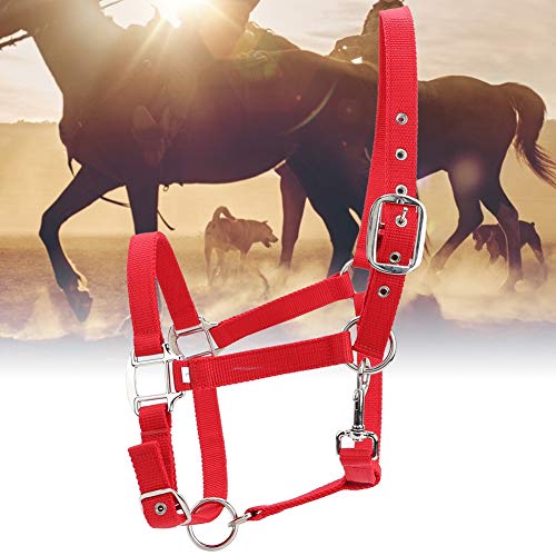 DAUERHAFT 6 mm más Grueso hHorse Bridle Rack Accesorios portátiles para Montar