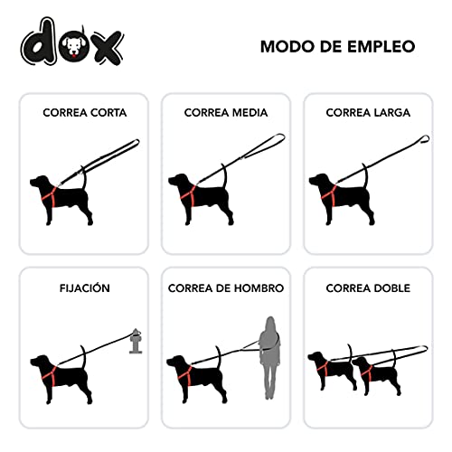 DDOXX Correa Perro de Nailon, Ajustable en 3 Direcciones, 2 m | Correas para Perros Grandes y Pequeños | Correa Doble para Perros, Gatos, Cachorros | Correa para Correr | Negro, XS