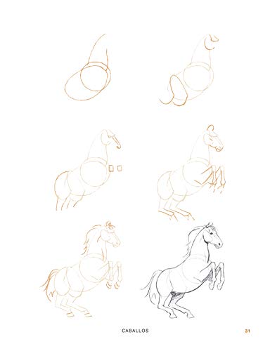 DIBUJAR 200 ANIMALES: Aprende a dibujar paso a paso caballos, gatos, perros, reptiles, aves, peces y otras criaturas