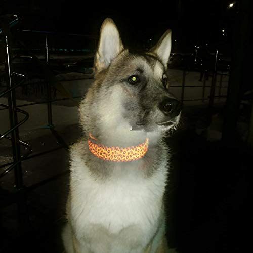 DMFSHI Collar Luminoso Perro, Collar Led Perro, Collar para Mascotas Ajustable de Leopardo con 3 Modos de Parpadeo para Aumentar la Visibilidad por la Noche (Amarillo, 43-60 cm)