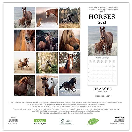 Draeger Paris – Calendario de pared, grande, 29 x 29 cm, 2021, de caballos