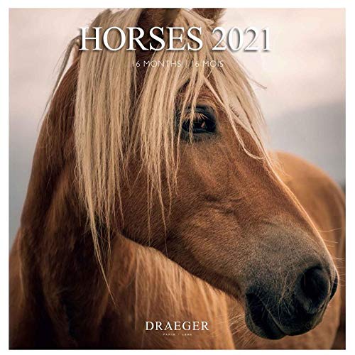 Draeger Paris – Calendario de pared, grande, 29 x 29 cm, 2021, de caballos