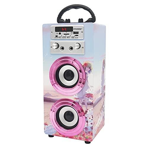 DYNASONIC (3º Generación, Modelo 2021 Karaoke con microfono, Regalos Originales para niños niña, Juguetes niña (Modelo 17)
