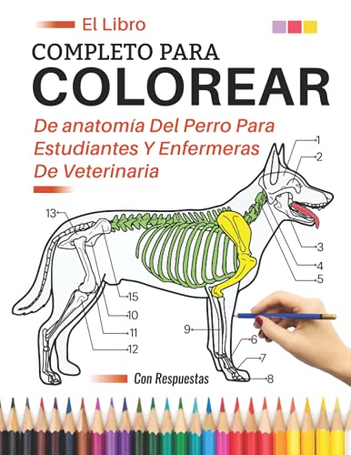 El libro completo para colorear de anatomía del perro para estudiantes y enfermeras de veterinaria: Veterinaria Anatomía Cuaderno de Colorear | Regalo ... | Cuaderno de Anatomía para colorear