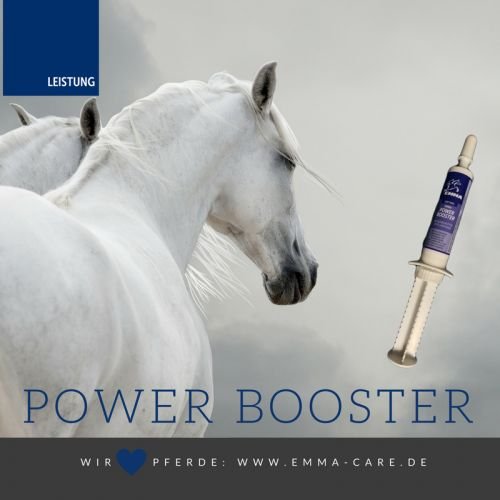 EMMA Vitamin Booster for Horses Suplementos nutricionales I Pasta Oral con vitaminas B para Caballos, B12, B6, B2, B1 I Vitamina E, A, D Zinc, Minerales, Oligoelementos 1 Pc.