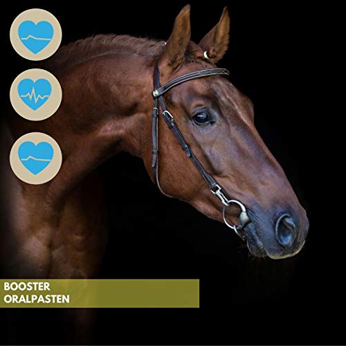 EMMA Vitamin Booster for Horses Suplementos nutricionales I Pasta Oral con vitaminas B para Caballos, B12, B6, B2, B1 I Vitamina E, A, D Zinc, Minerales, Oligoelementos 1 Pc.