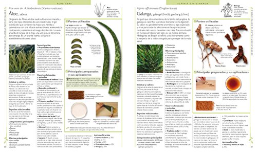 Enciclopedia de plantas