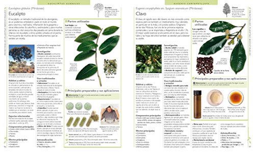 Enciclopedia de plantas
