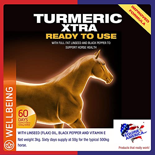 Equine America Turmeric 3kg by Equine America