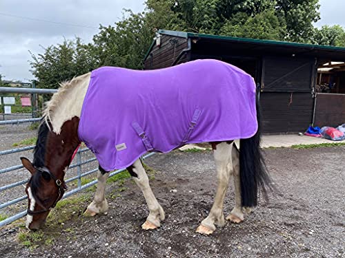 Equipride Alfombra de forro polar de 260 g/m² para Shetland, Pony Horse tamaño 3'0" a 7'0" morado (4'3")
