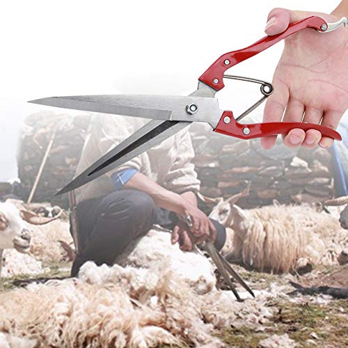 Esquila manual de ovejas, cortadora de lana de cabra y oveja, tijeras de acero inoxidable para cortar a mano Tijeras multifuncionales para cortar lana de oveja Tijera para cortar lana con resorte