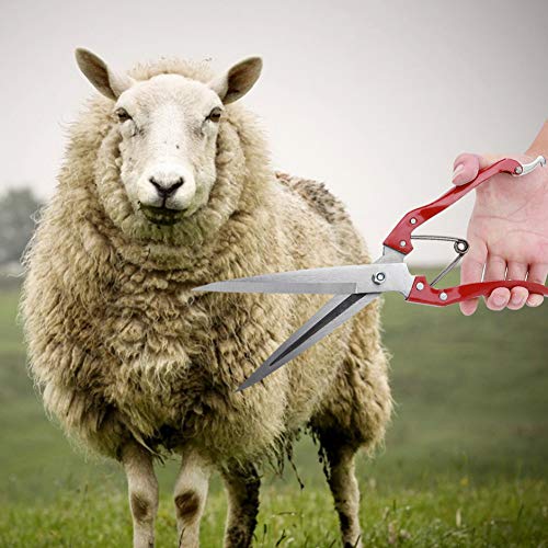 Esquila manual de ovejas, cortadora de lana de cabra y oveja, tijeras de acero inoxidable para cortar a mano Tijeras multifuncionales para cortar lana de oveja Tijera para cortar lana con resorte