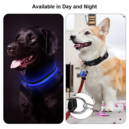 ETACCU Collar de Perro LED, Collar de Perros Ajustable con 3 Modos y 7 Colores, Collar Luminoso Impermeable Recargable por USB, Collares Básicos para Mascotas (Mediano (40-55cm), Azul)