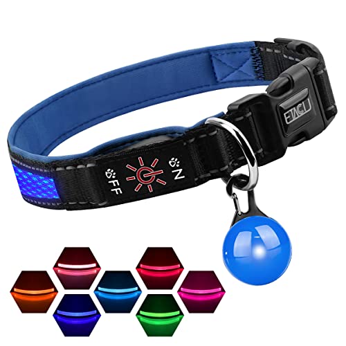 ETACCU Collar de Perro LED, Collar de Perros Ajustable con 3 Modos y 7 Colores, Collar Luminoso Impermeable Recargable por USB, Collares Básicos para Mascotas (Pequeño (30-45cm), Azul)
