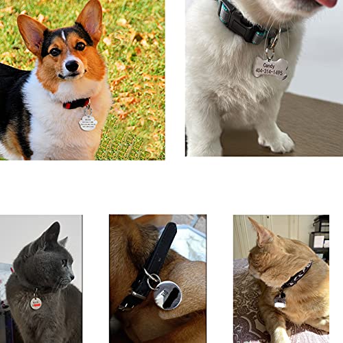 Etiquetas de identificación para mascotas de acero inoxidable , Etiquetas para perros personalizadas ,Texto grabado para gatos y perros con diferentes formas