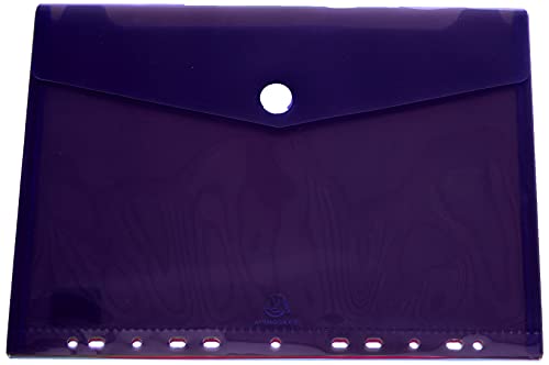 Exacompta 57380E - Bolsa de 5 fundas con multitaladros y forma de sobre, A4, multicolor