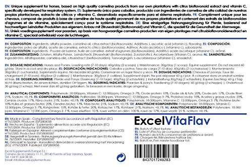 Excel Supplements Europe Excel VitaFlav 1Kg | Suplemento para Caballos | Suplemento respiratorio | Mejora la respiración del equino | Aumenta el Rendimiento del Caballo | Cuidado del Caballo
