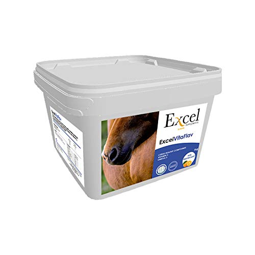 Excel Supplements Europe Excel VitaFlav 1Kg | Suplemento para Caballos | Suplemento respiratorio | Mejora la respiración del equino | Aumenta el Rendimiento del Caballo | Cuidado del Caballo