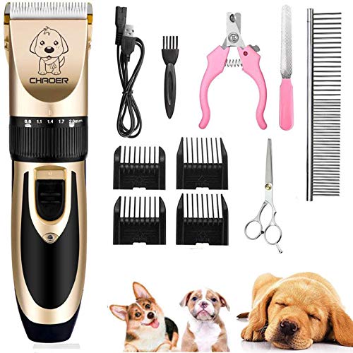 Eyeleaf Esquiladora para perros profesional, esquiladora eléctrica para gatos, pelo largo, recargable, con accesorios de peluquería, cable USB, herramienta de limpieza dorada